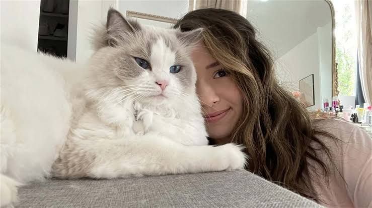 Pokimane и её кошка Мими | Источник: соцсети Pokimane