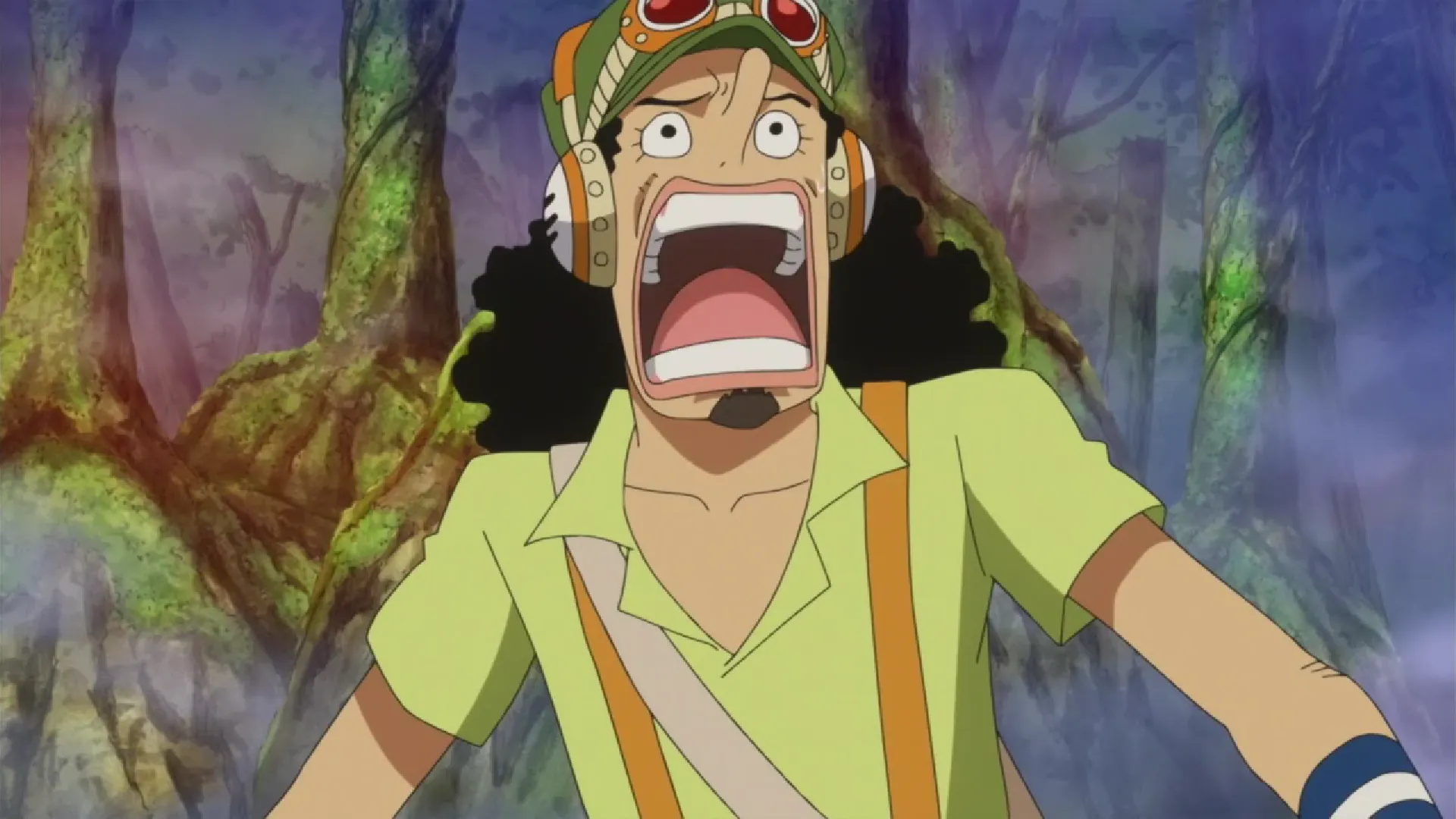 Кадр из аниме «Ван-Пис»