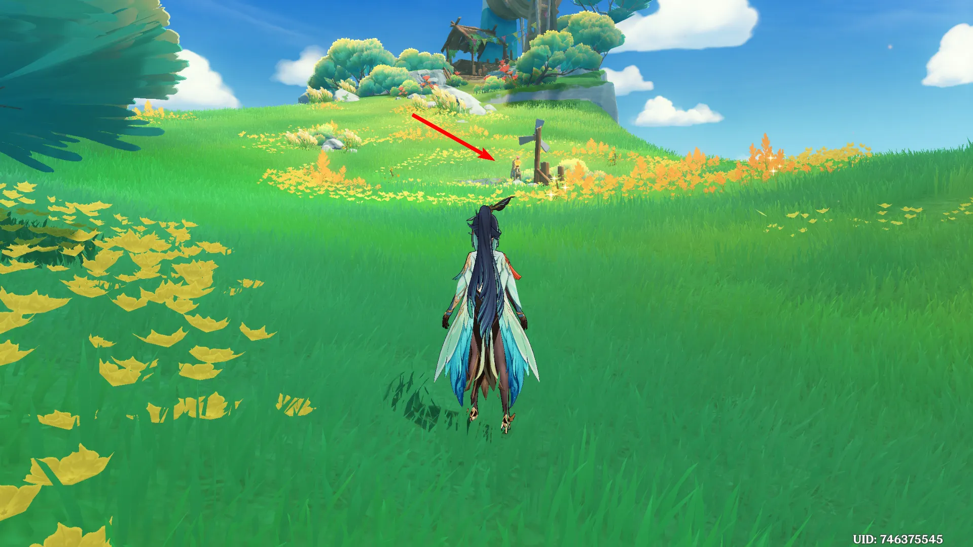 Источник: Genshin Impact