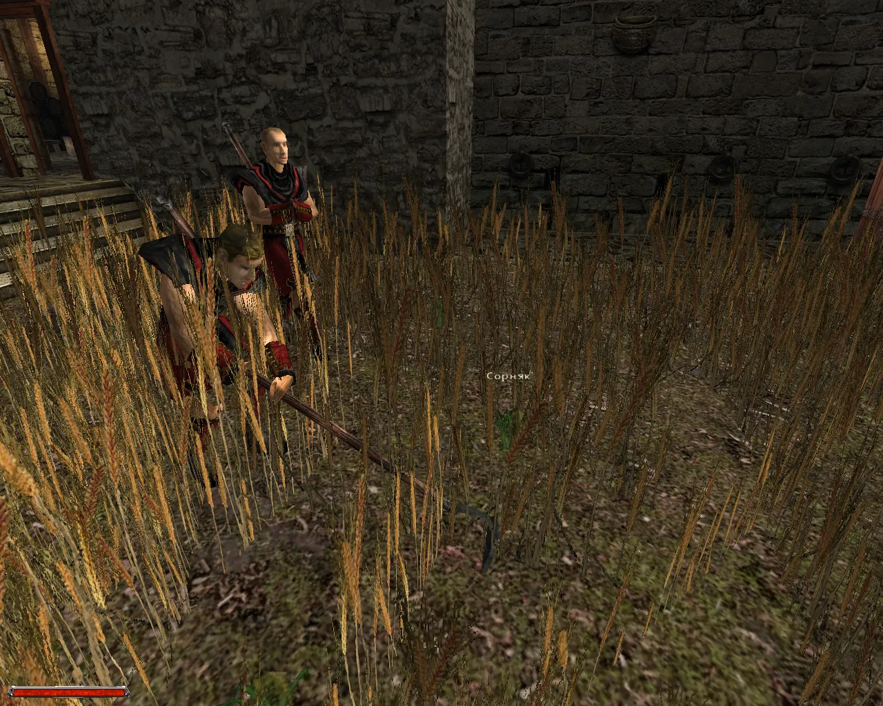 Вот этот глупый Агон..