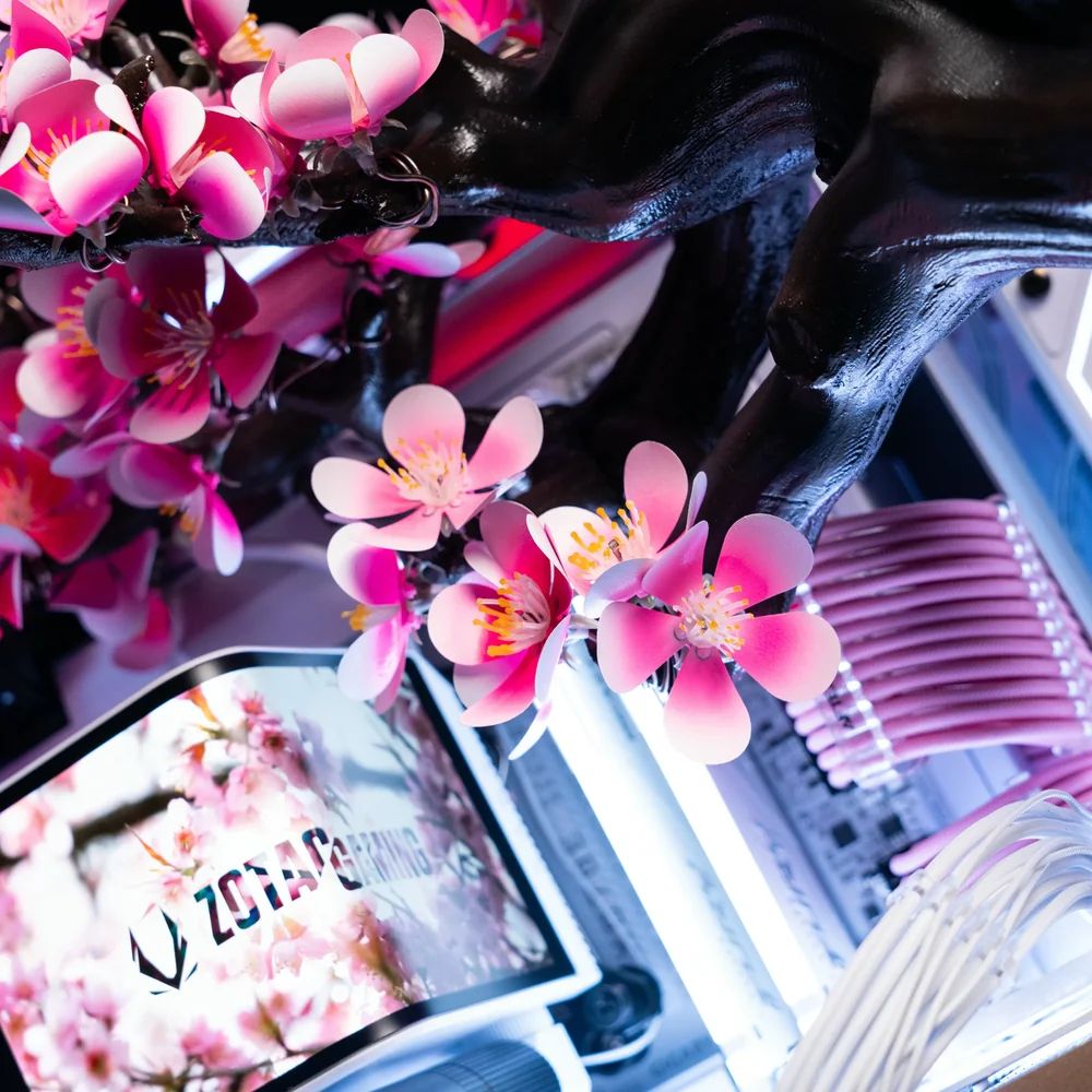Aftershock Cherry Bloom | Источник: Aftershock