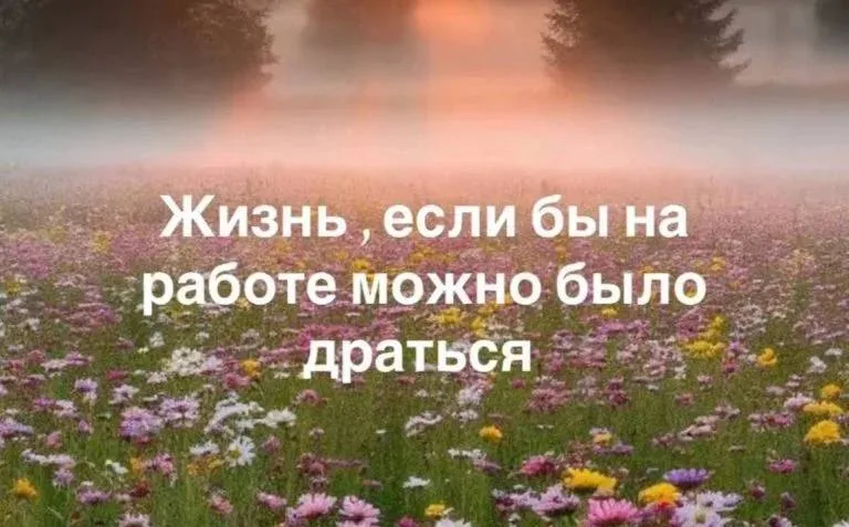 Источник: канал dastan в Telegram