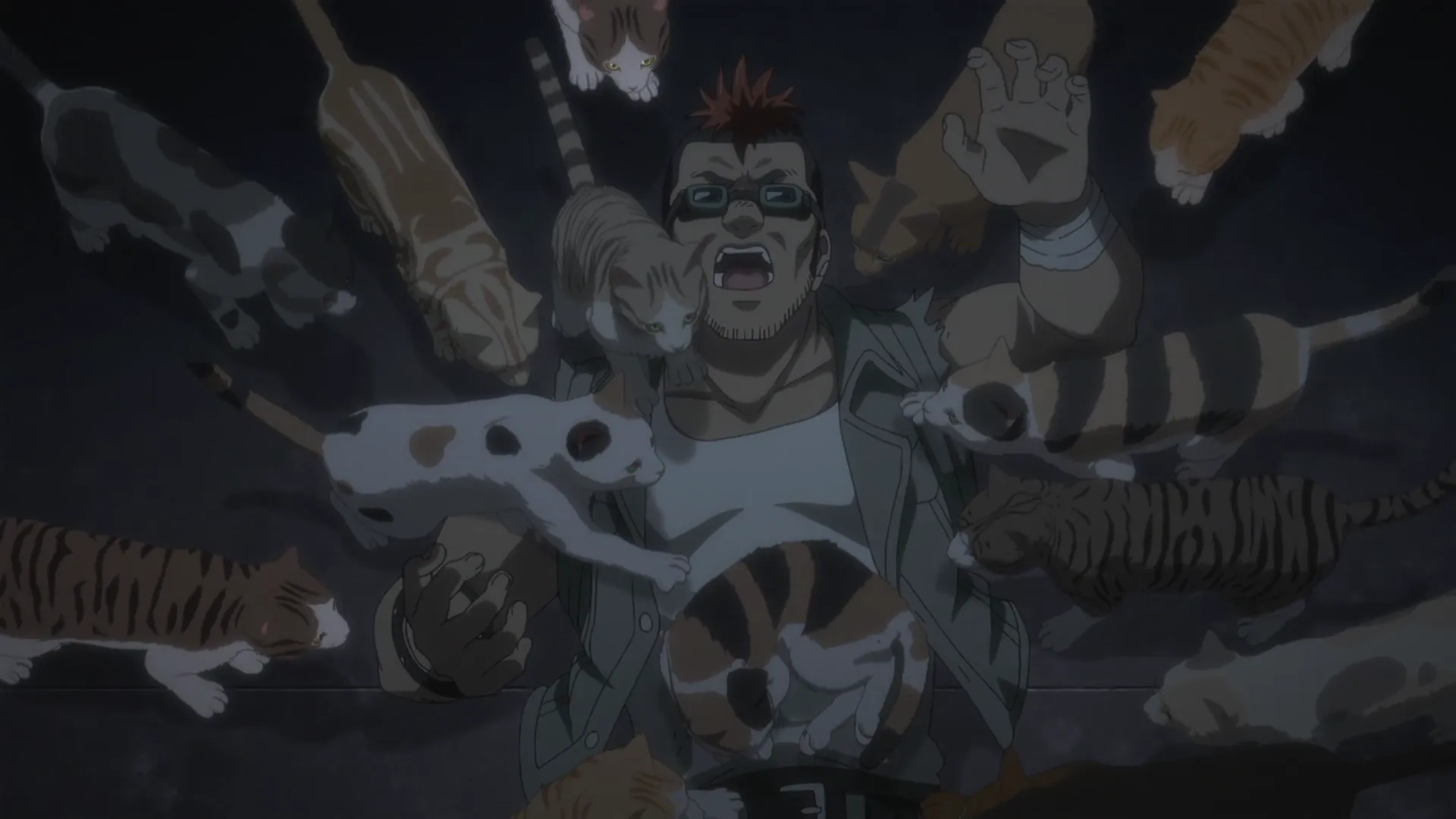 Кадр из аниме «Ночь живых кошаков»