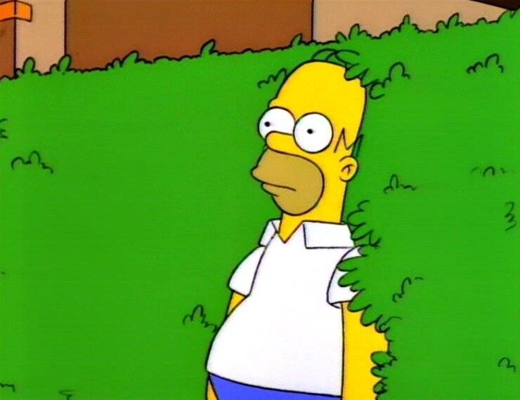 Кадр из «Симпсонов»