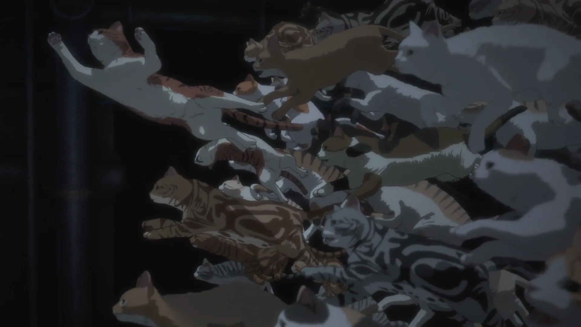Кадр из аниме «Ночь живых кошаков»