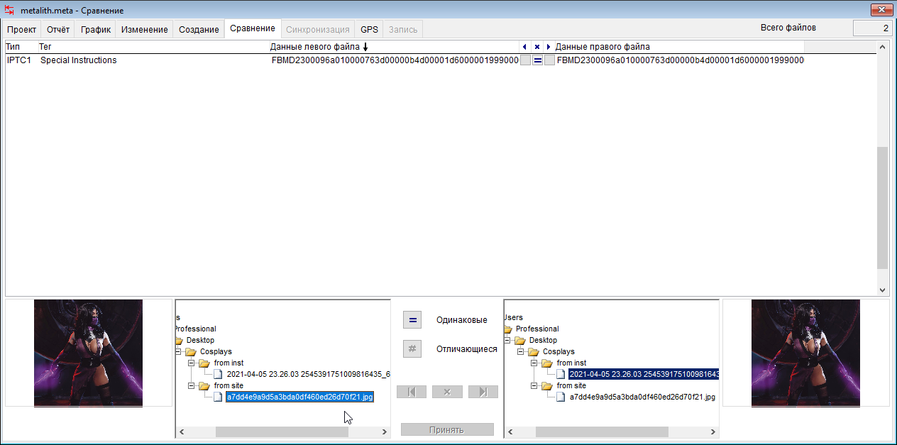 Сравнение метаданных