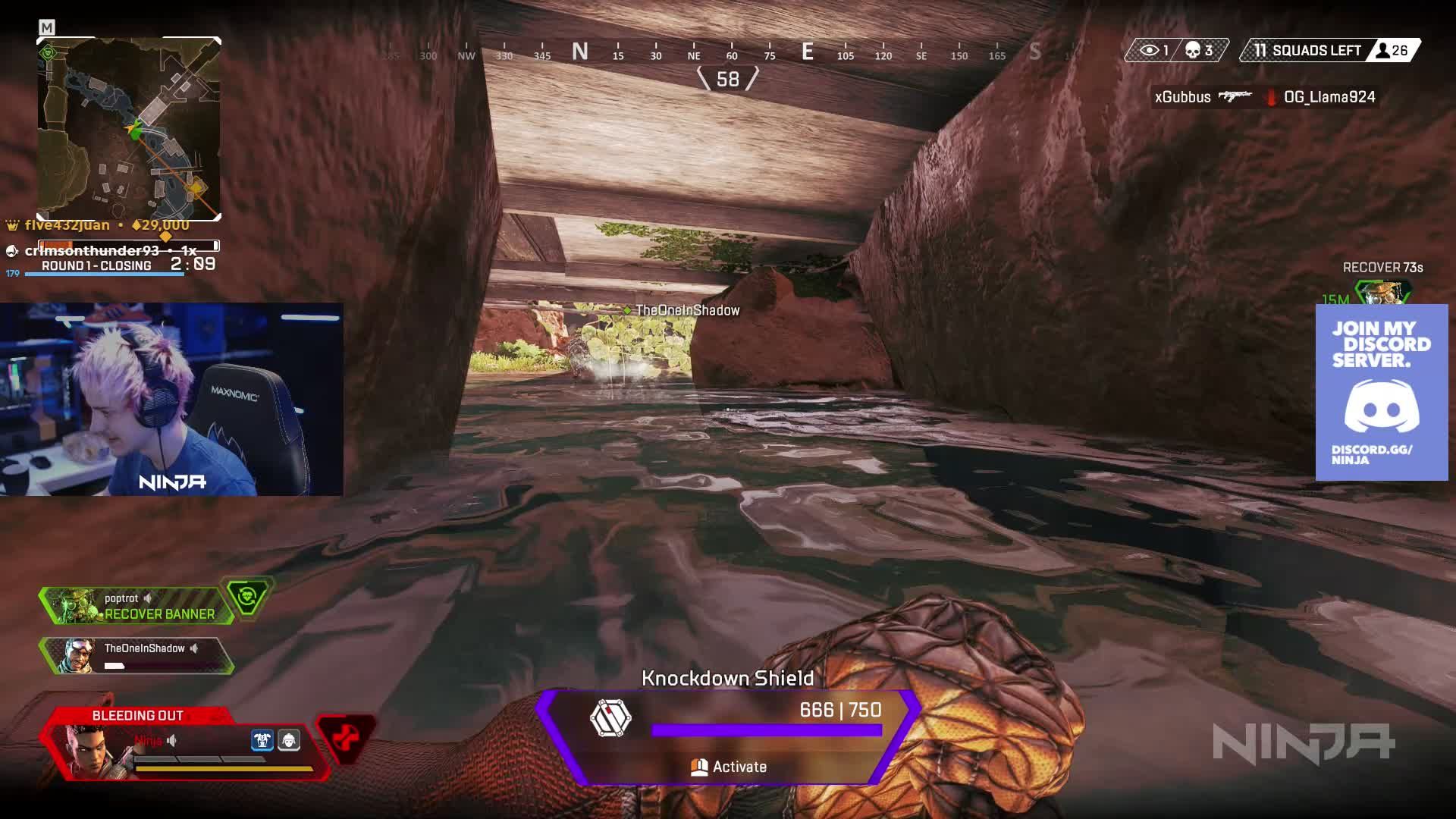 Apex Legends на стриме Ninja