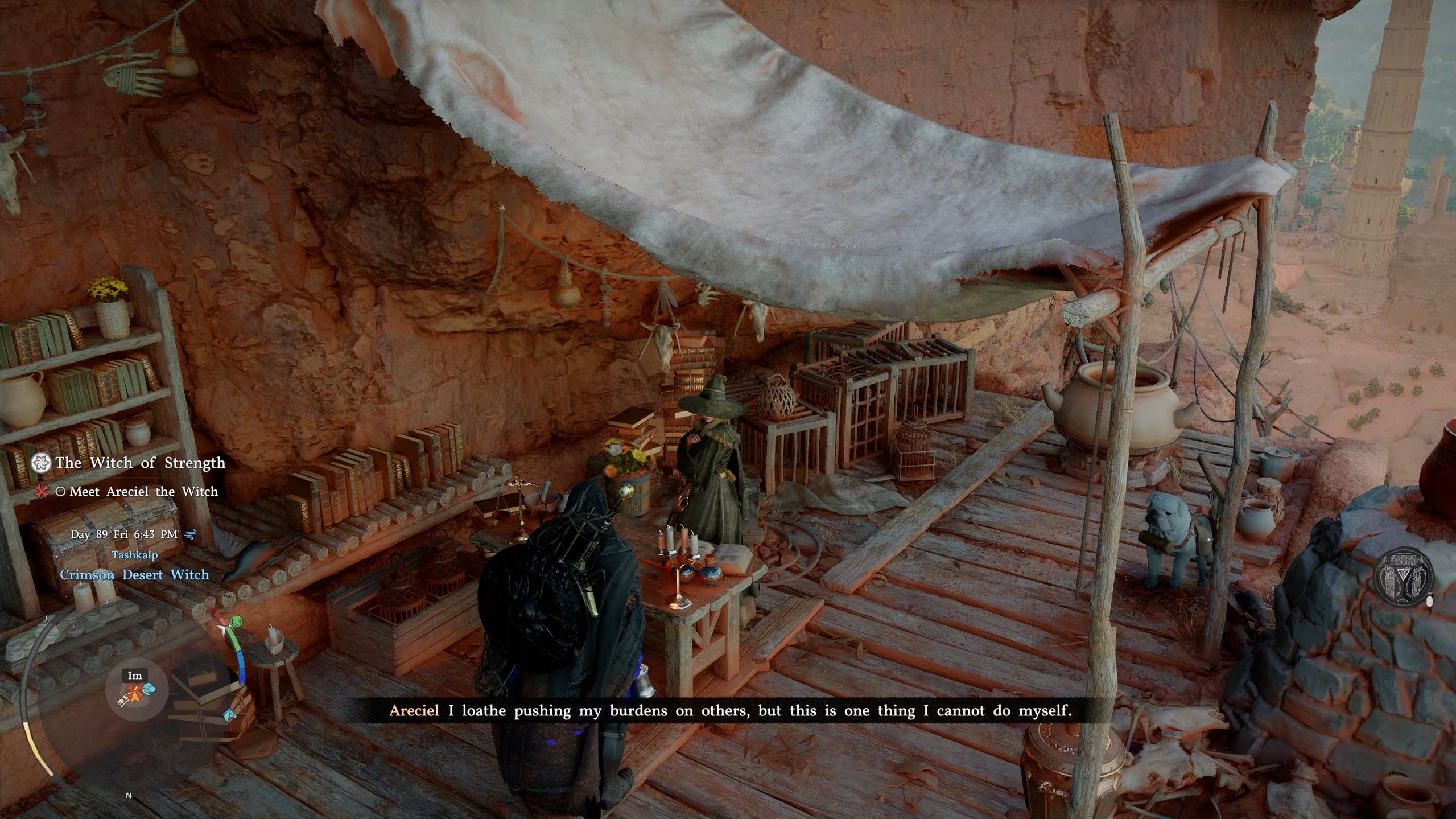 Скриншот из игры Crimson Desert