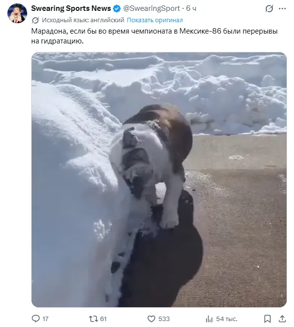 Источник: X