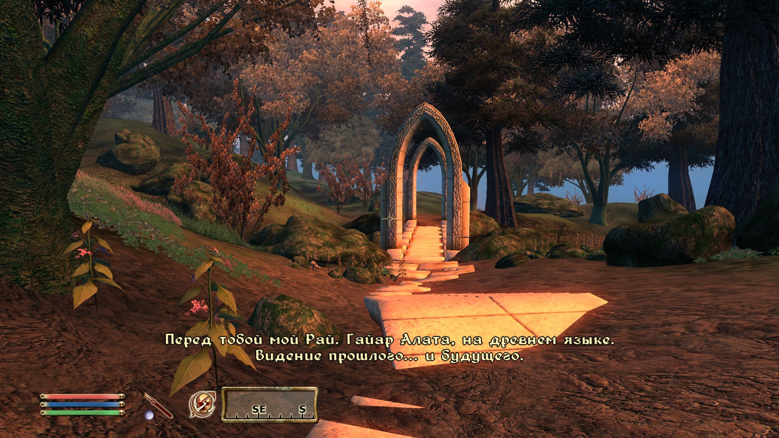 The Elder Scrolls IV: Oblivion