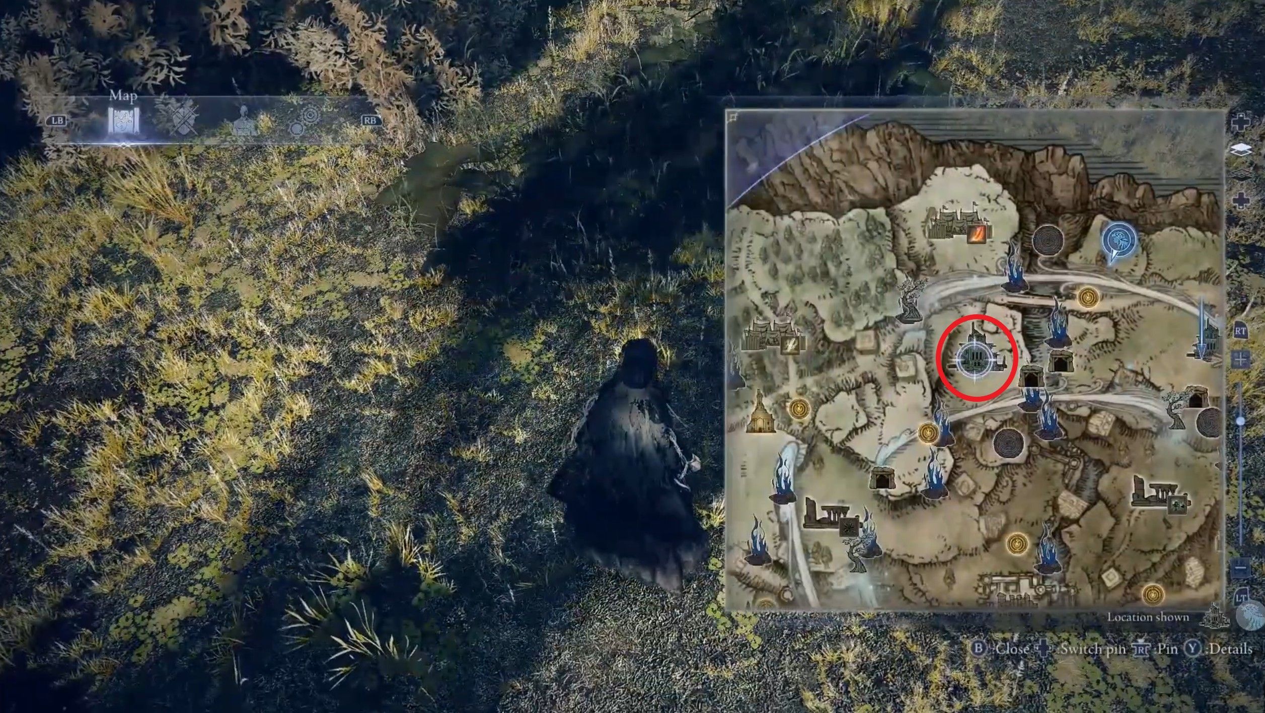 Скриншот из игры Elden Ring Nightreign