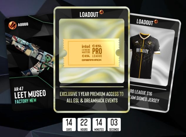 Будущие награды. Источник: ESL