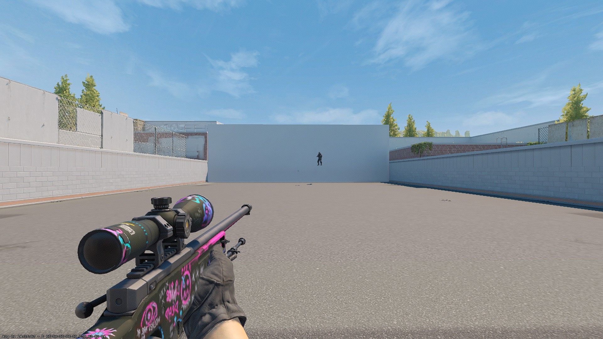 Скриншот из CS2