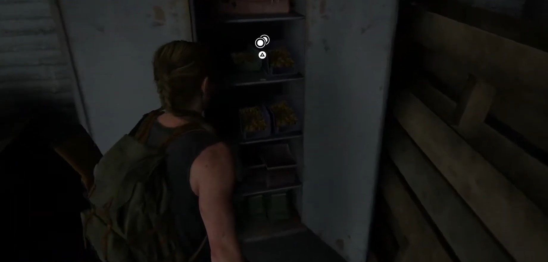 Скриншот из игры The Last of Us Part II