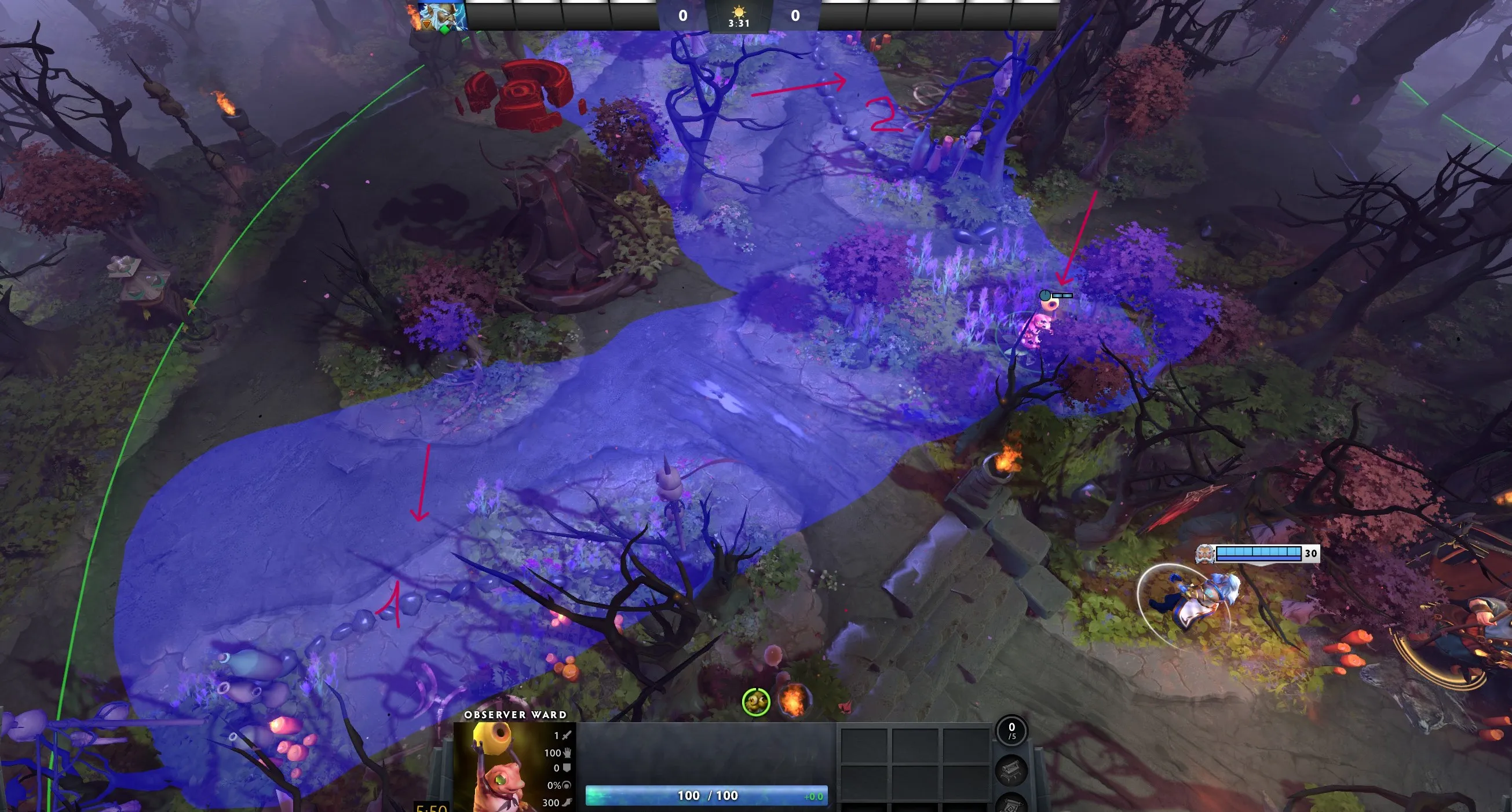 Хороший вард. Дает обзор сразу на два кемпа  | Источник: Dota 2