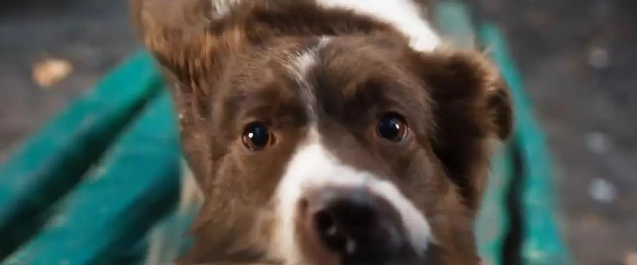 Кадр из фильма «Космическая собака Лида»