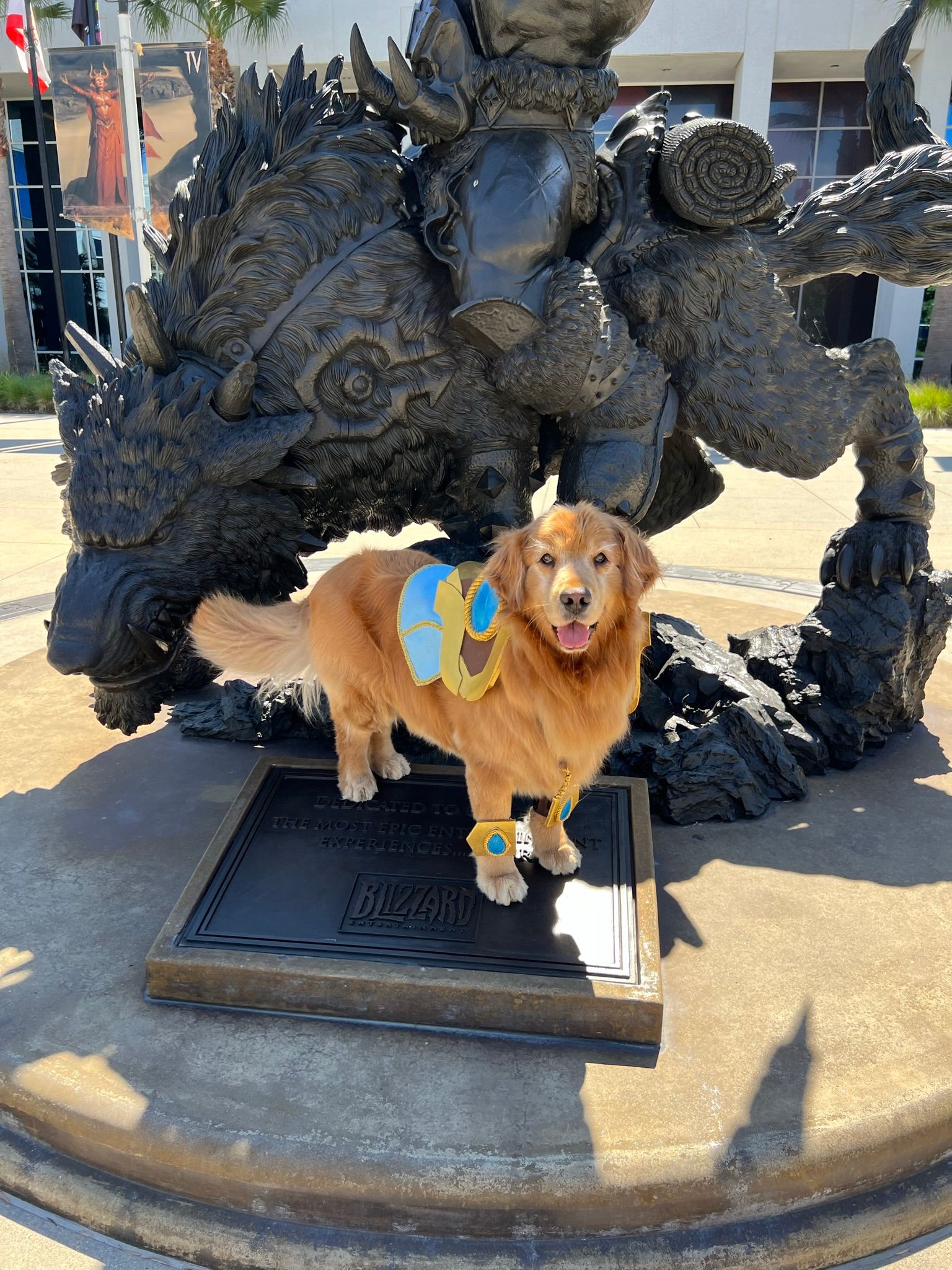 Собаки в офисе Blizzard в Ирвайне. Источник фото: твиттер LifeatBlizzard