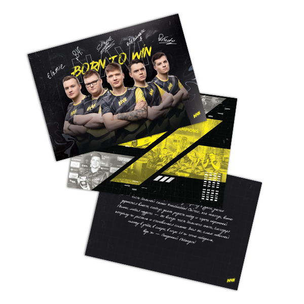 Источник: shop.navi.gg