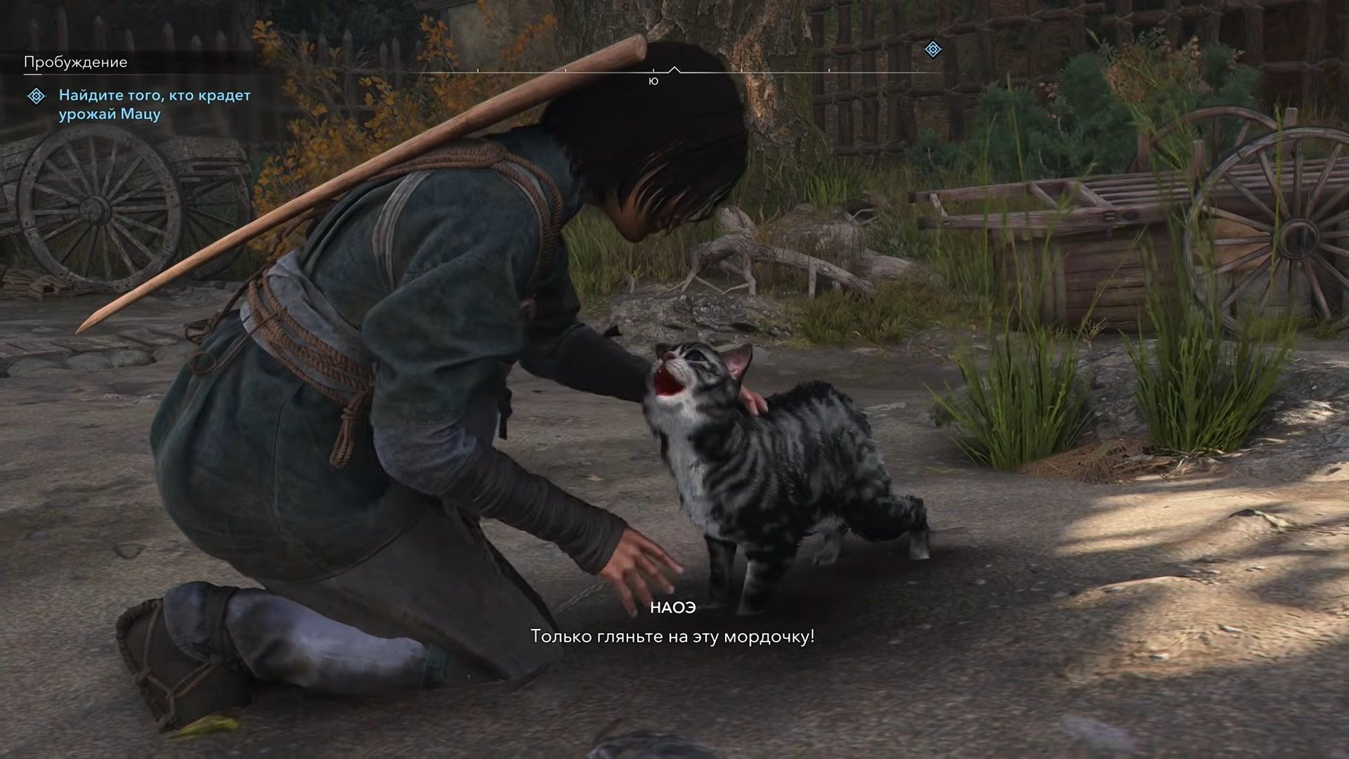 Скриншот из игры Assassin's Creed Shadows