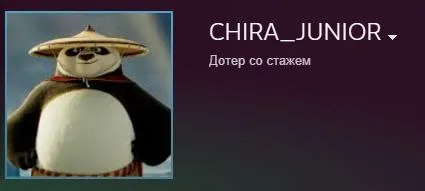 Аватарка Chira JUNIOR в Steam | Источник: канал Chira JUNIOR в Telegram