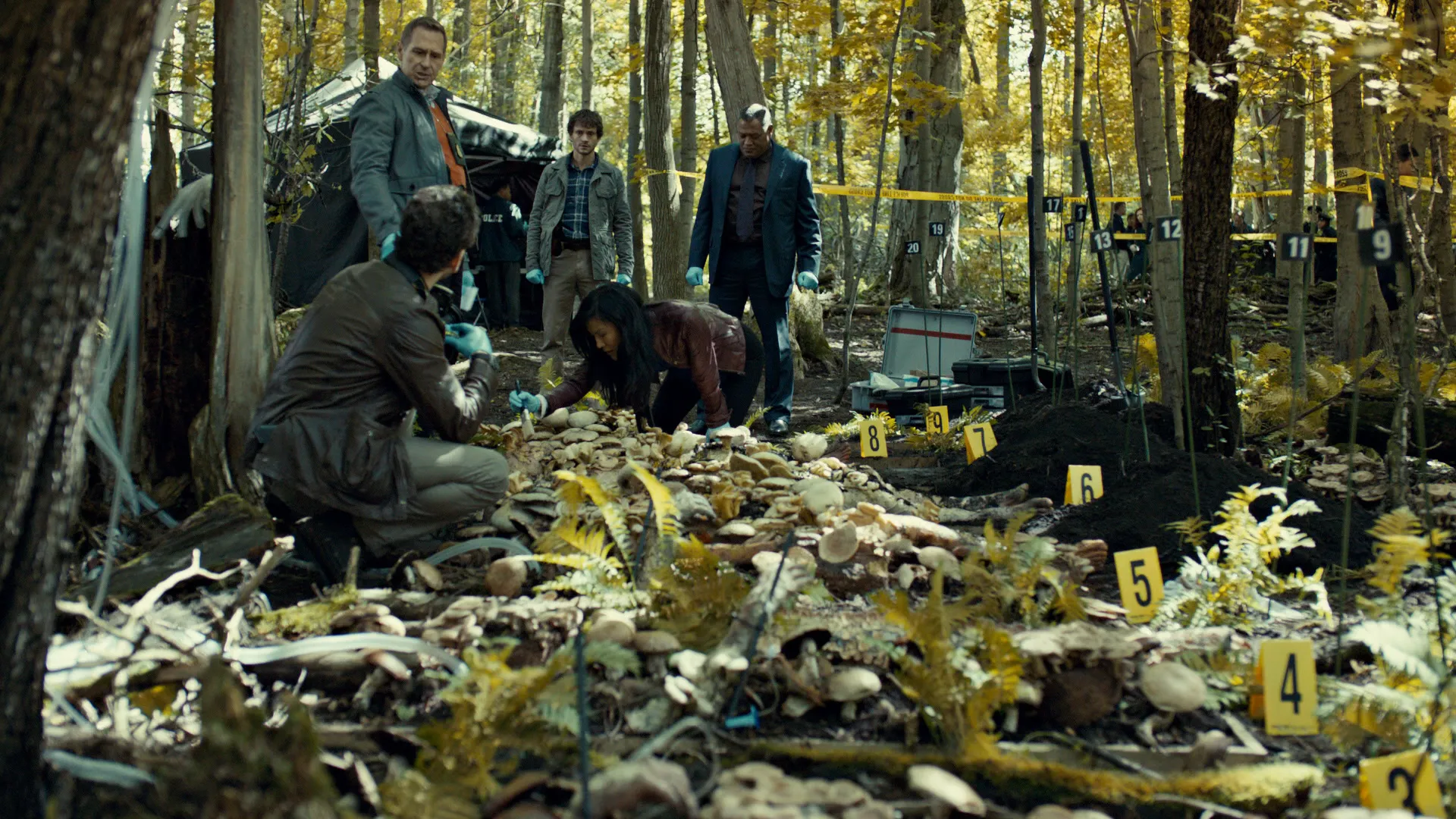 Кадр из сериала «Ганнибал»