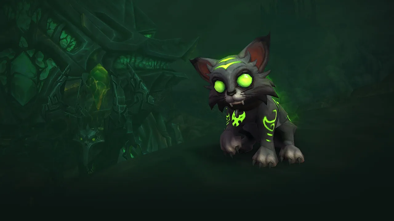 Мяунифер, я выбираю тебя! Самые редкие и ценные спутники в World of Warcraft