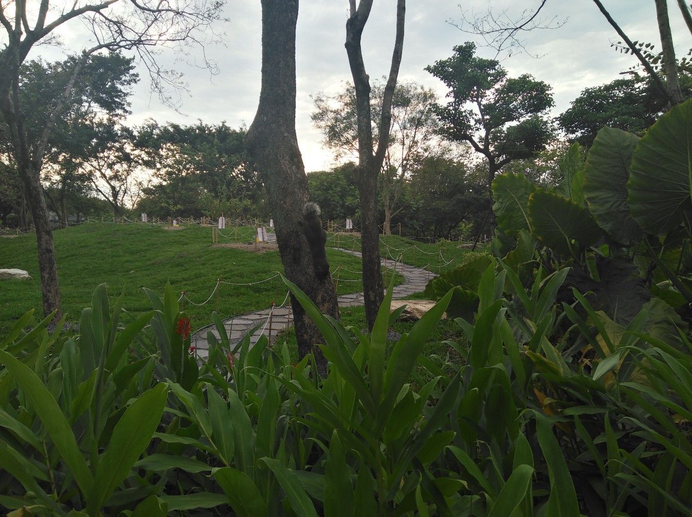 Флора и фауна