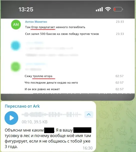 Сообщения из переписки между Ark и Антоном SayLich Монетиным. Источник: Metaratings.ru