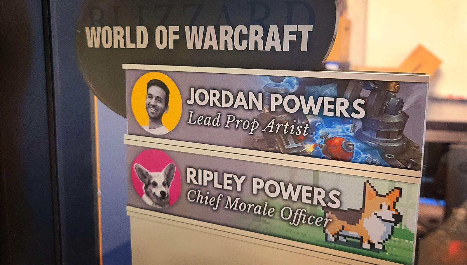 Собаки в офисе Blizzard в Ирвайне. Источник фото: твиттер LifeatBlizzard