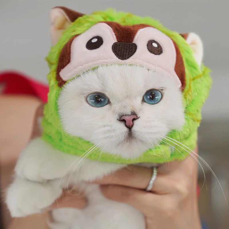 Новые товары в Secret Shop, посвященном The International 2022. Источник: Valve