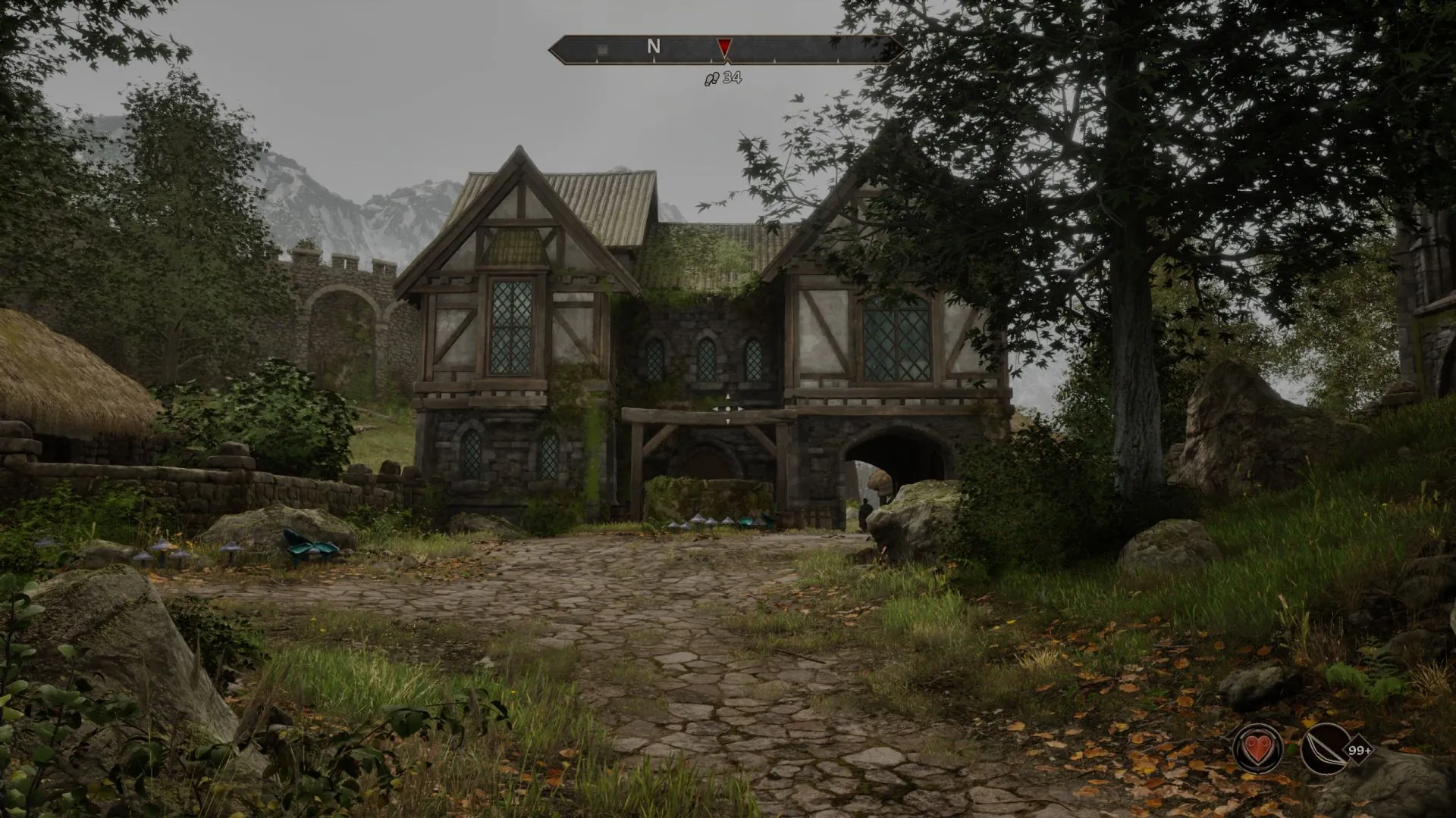 Скриншот из The Elder Scrolls IV: Oblivion Remastered