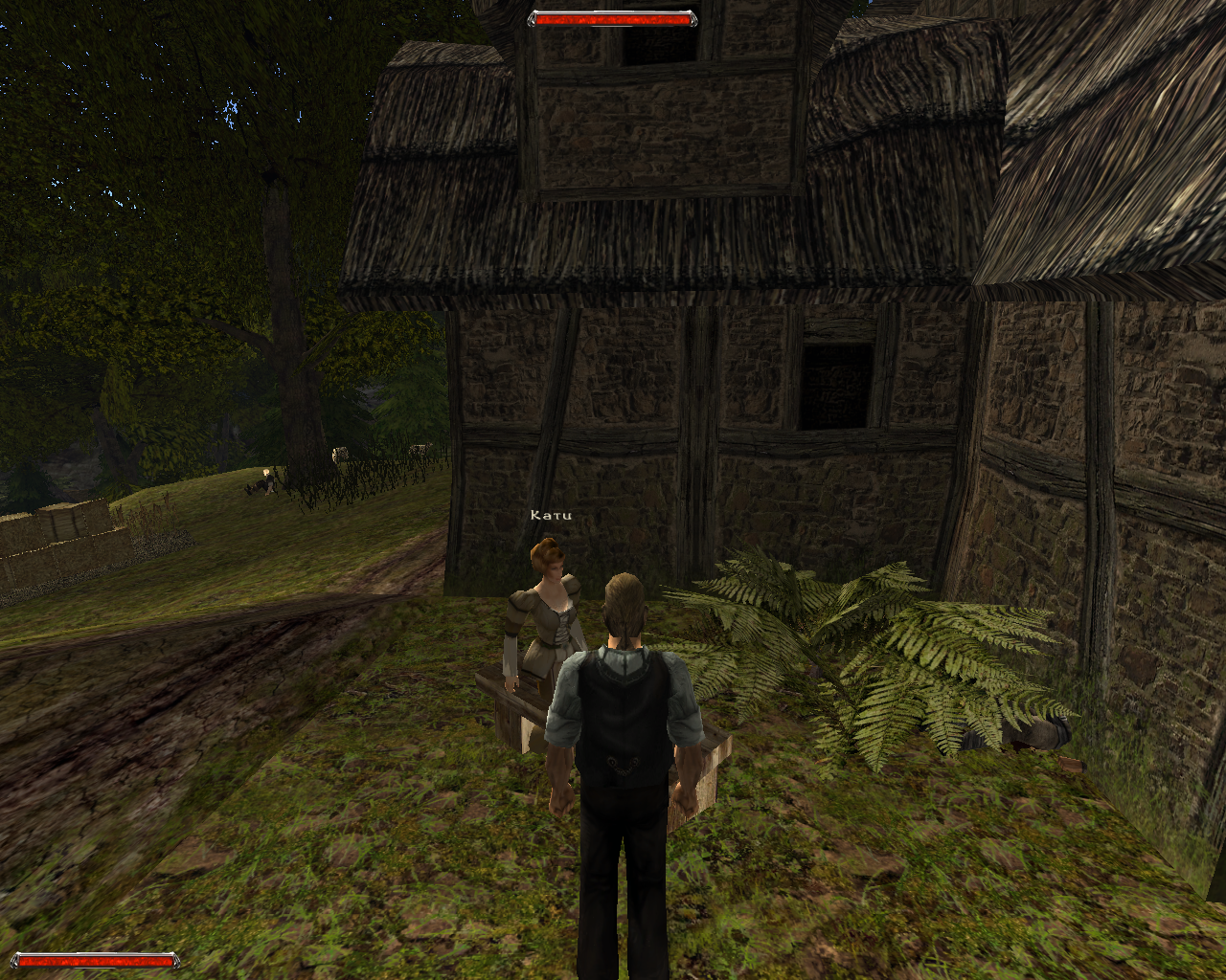 теперь у меня есть топ вайфу фермо-жена Кати