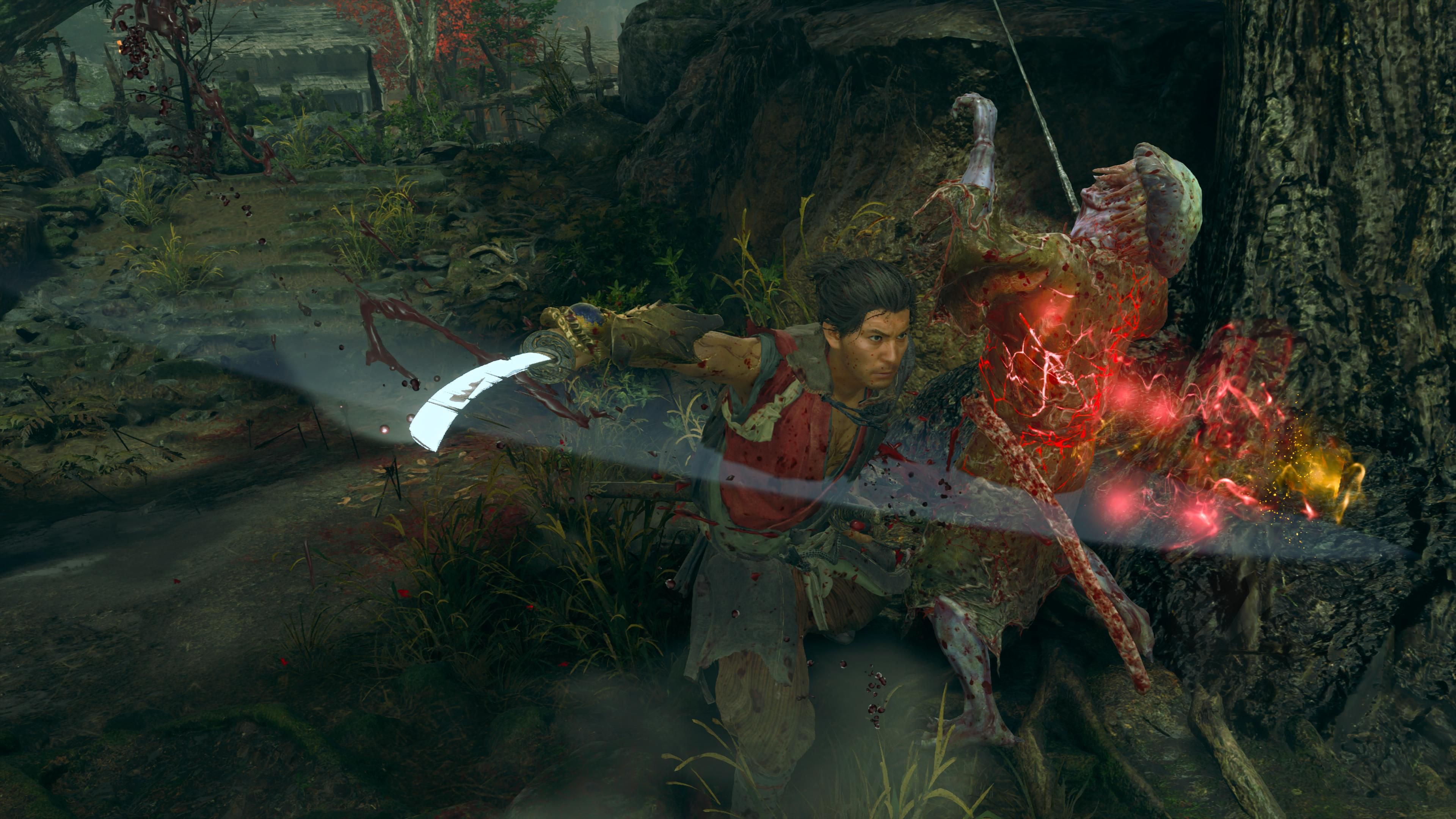 Фоторежим на месте. Скриншот из Onimusha: Way of the Sword