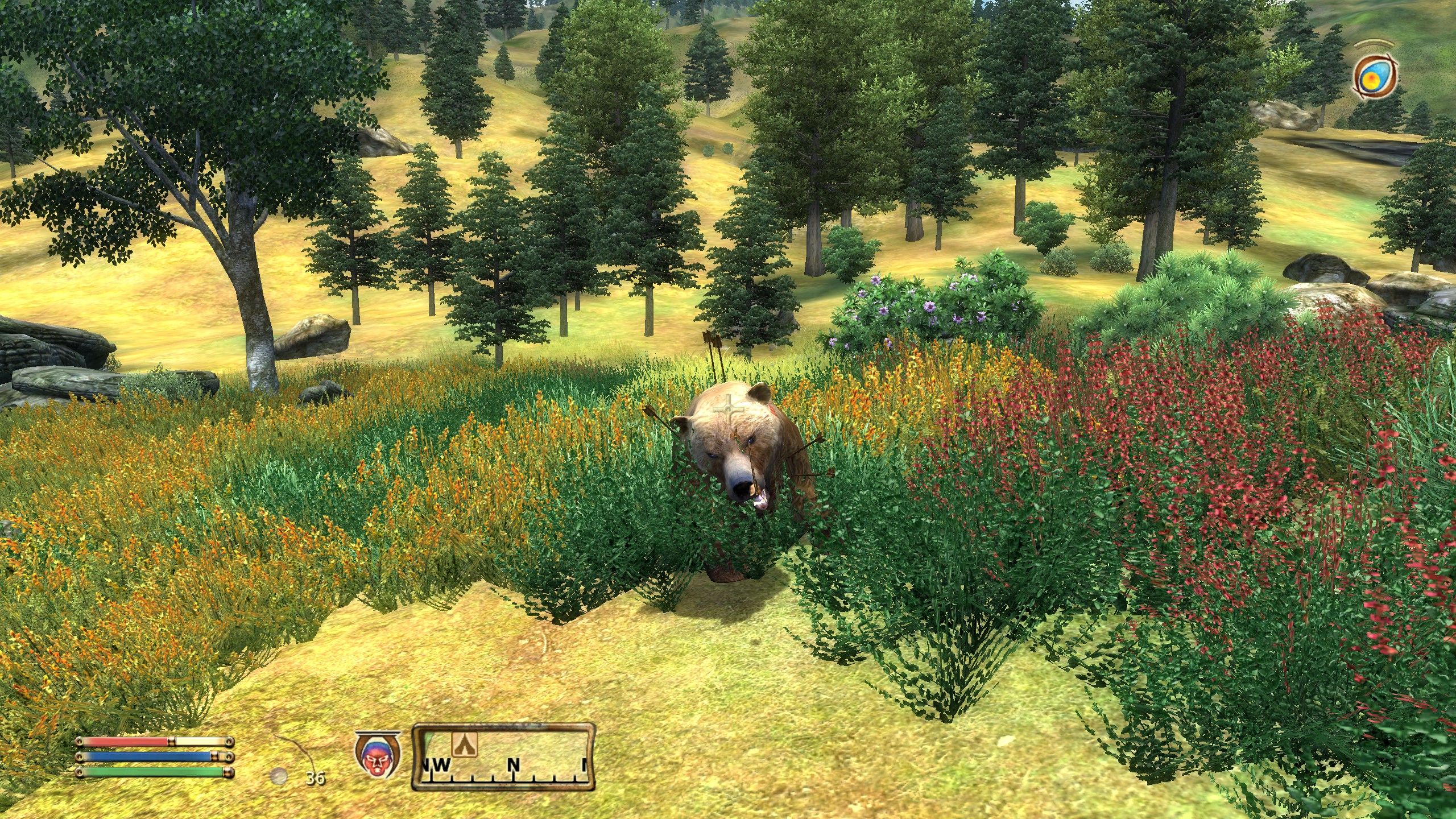 The Elder Scrolls IV: Oblivion