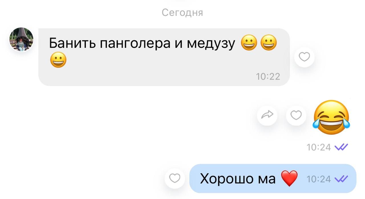 Источник: t.me/rodjerchamp