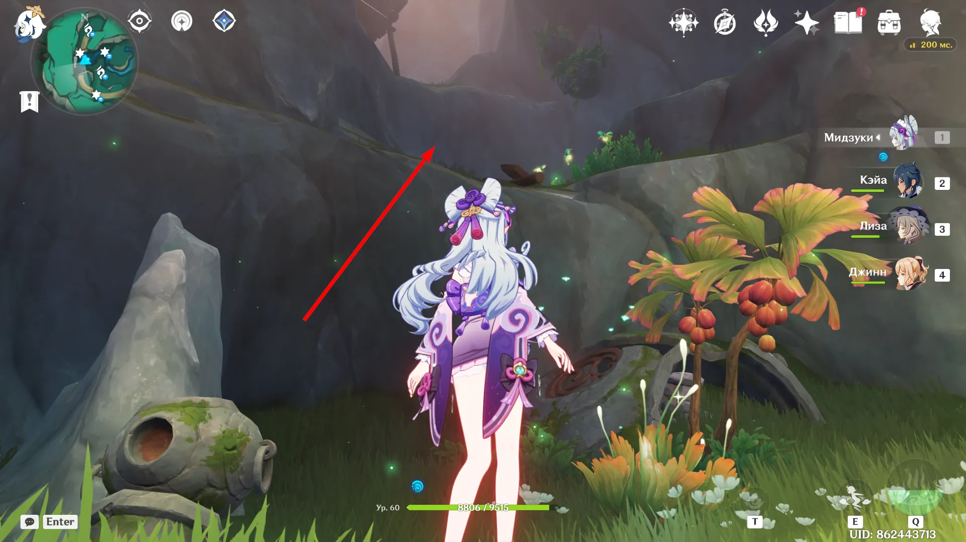 Источник: Genshin Impact