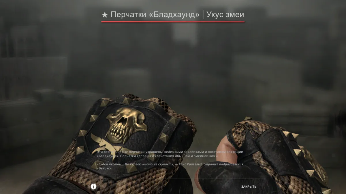 Bloodhound gloves