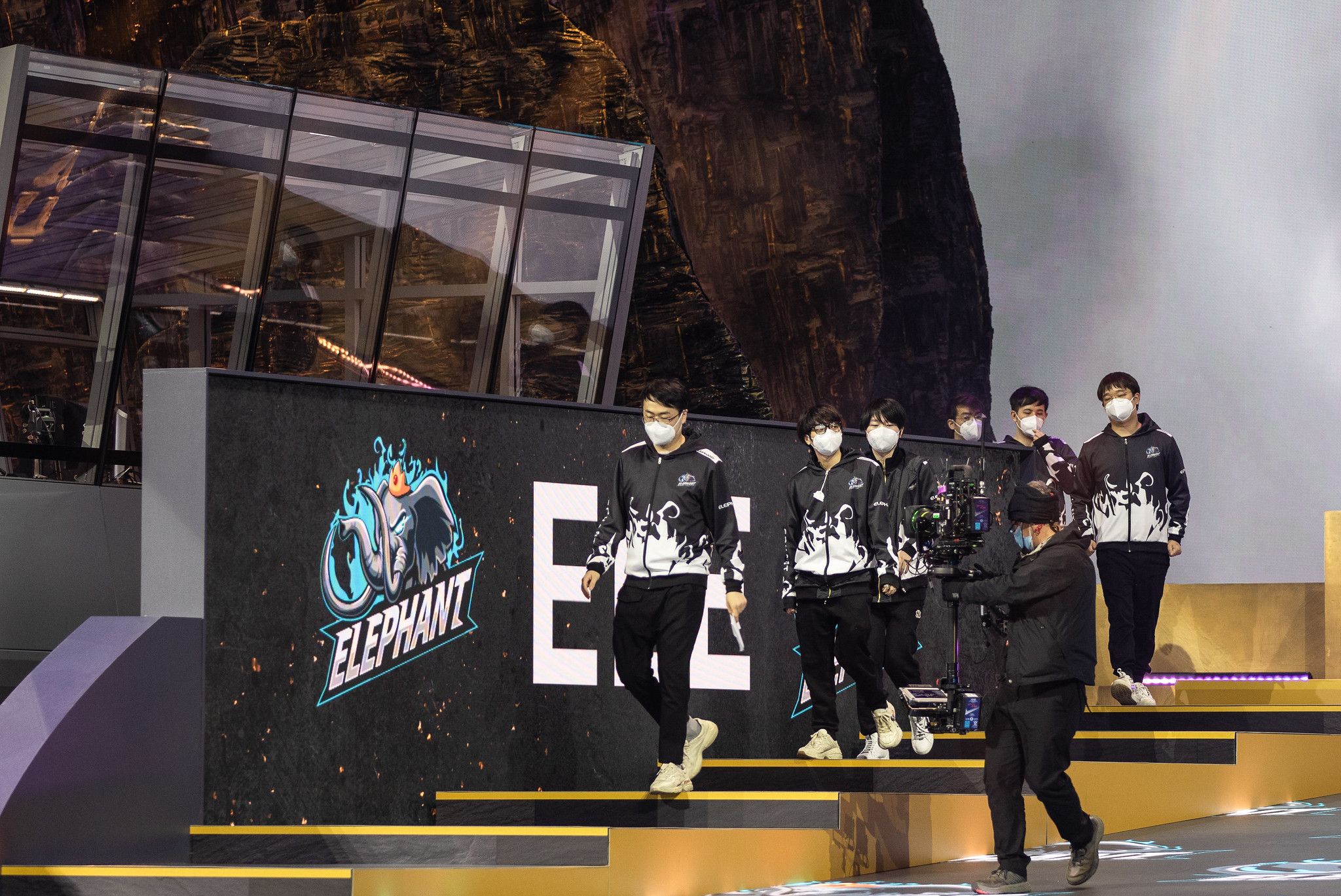 Elephant на TI10. Источник: Valve