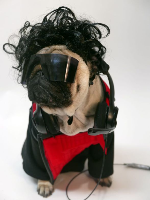 Источник: twitter @p4triciattv