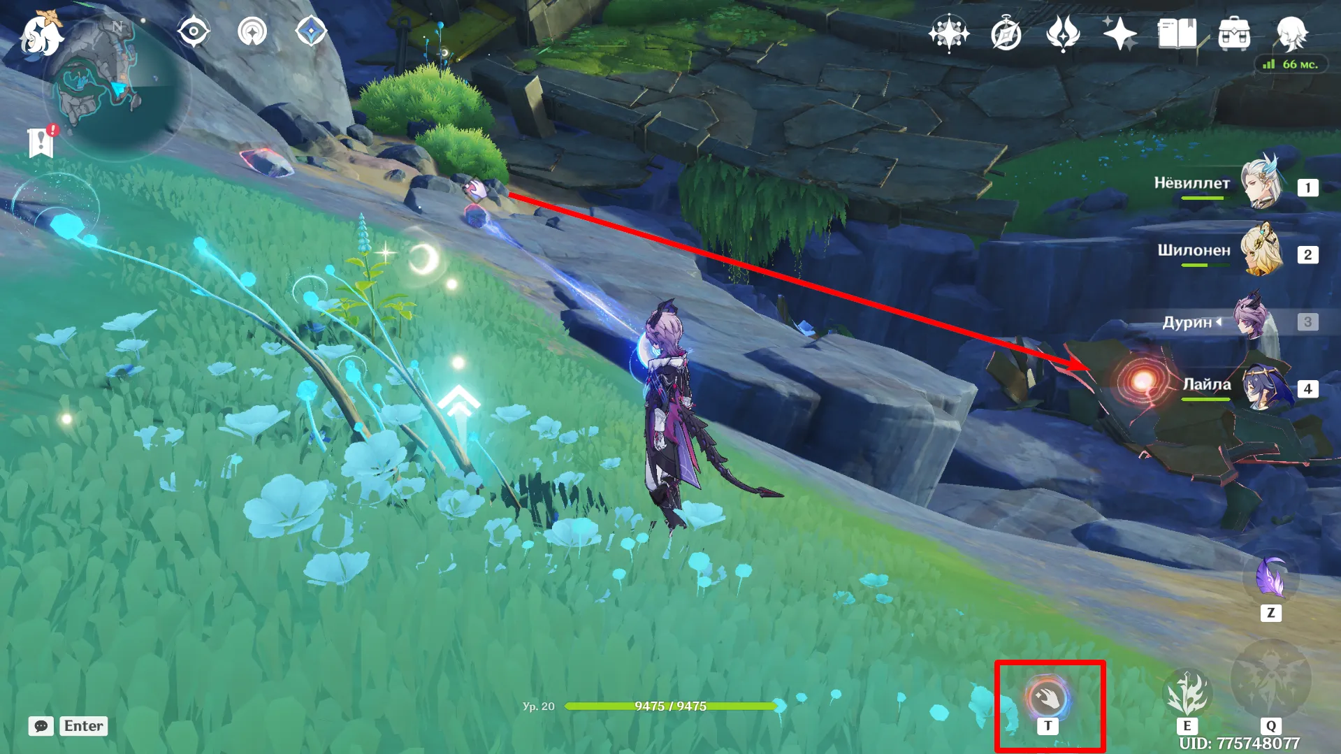 Источник: Genshin Impact