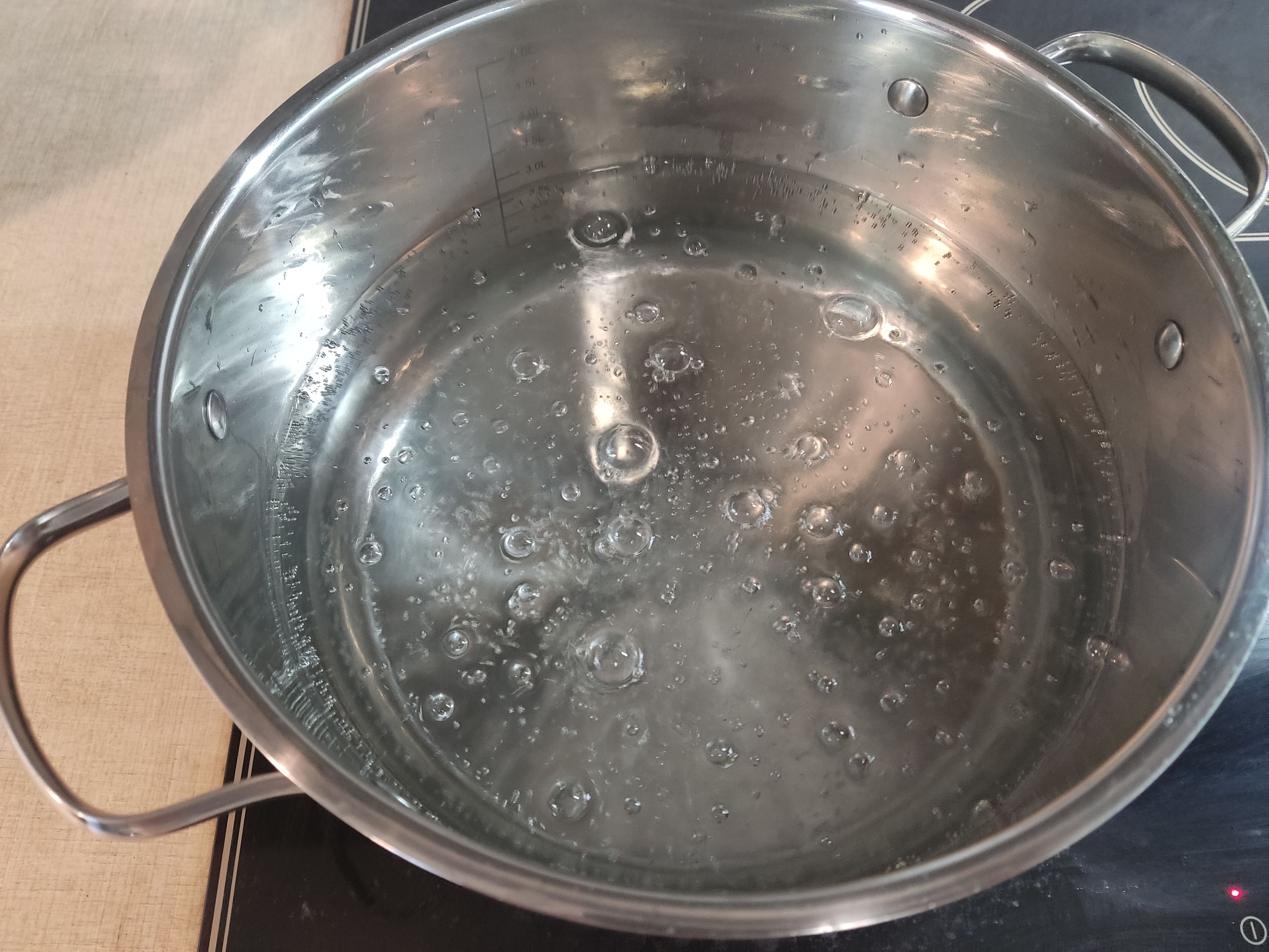 Впервые кипячу то, что и так уже пузырится. Мне понадобился щуп, чтобы понять, что газировка действительно закипела.