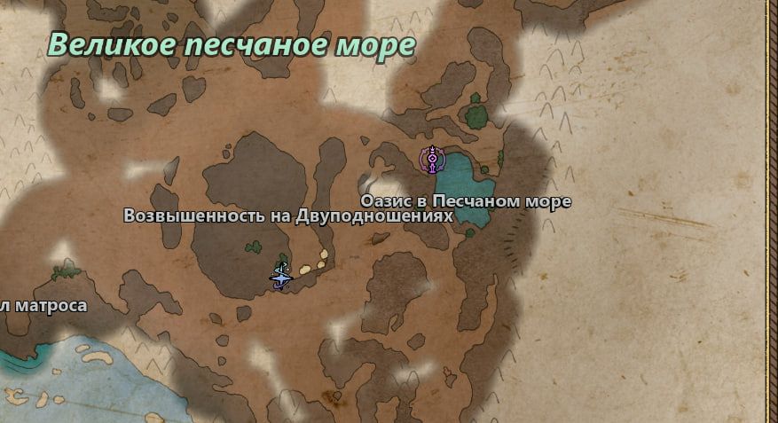 Кадр из Avowed