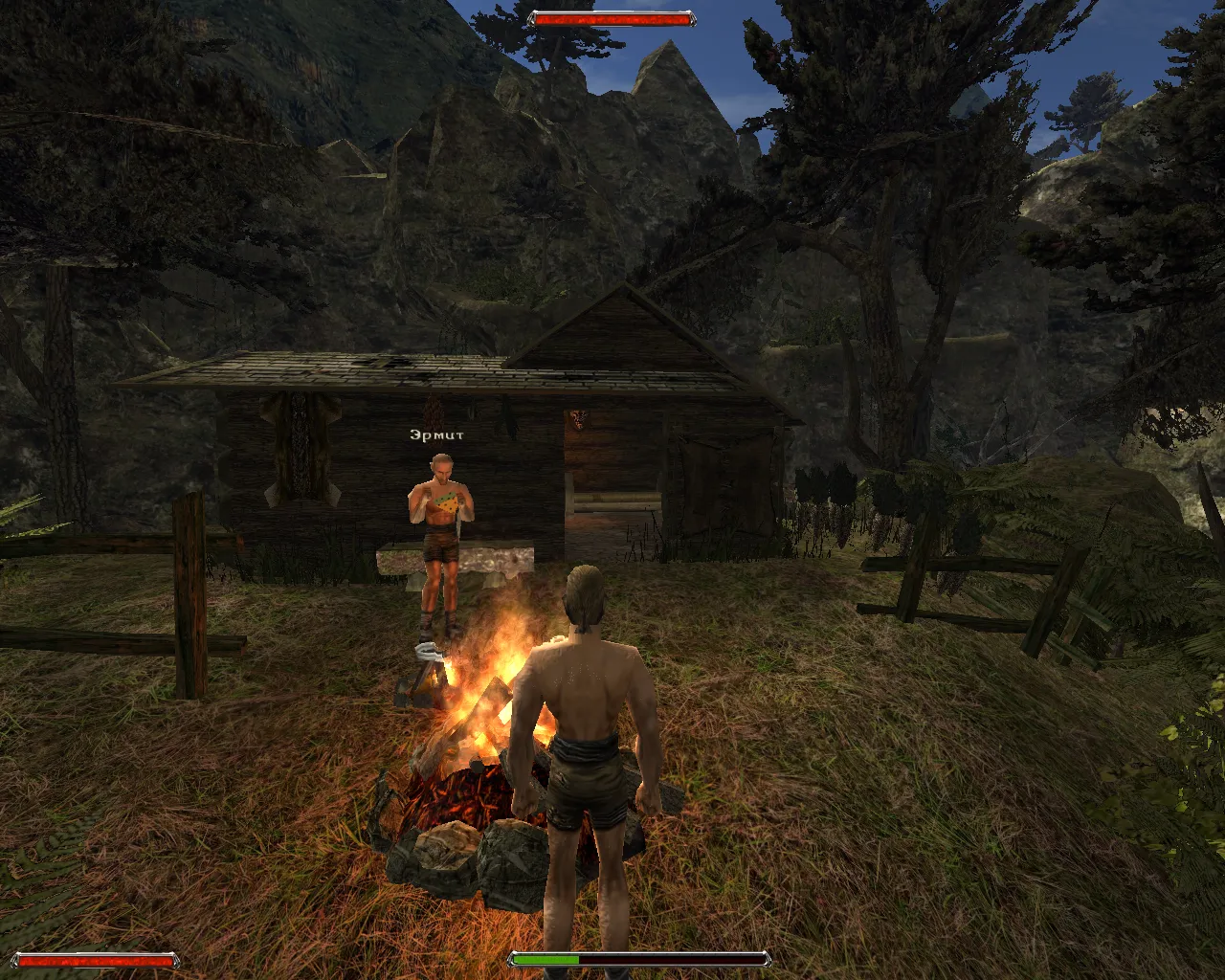 сюда сажаем репку