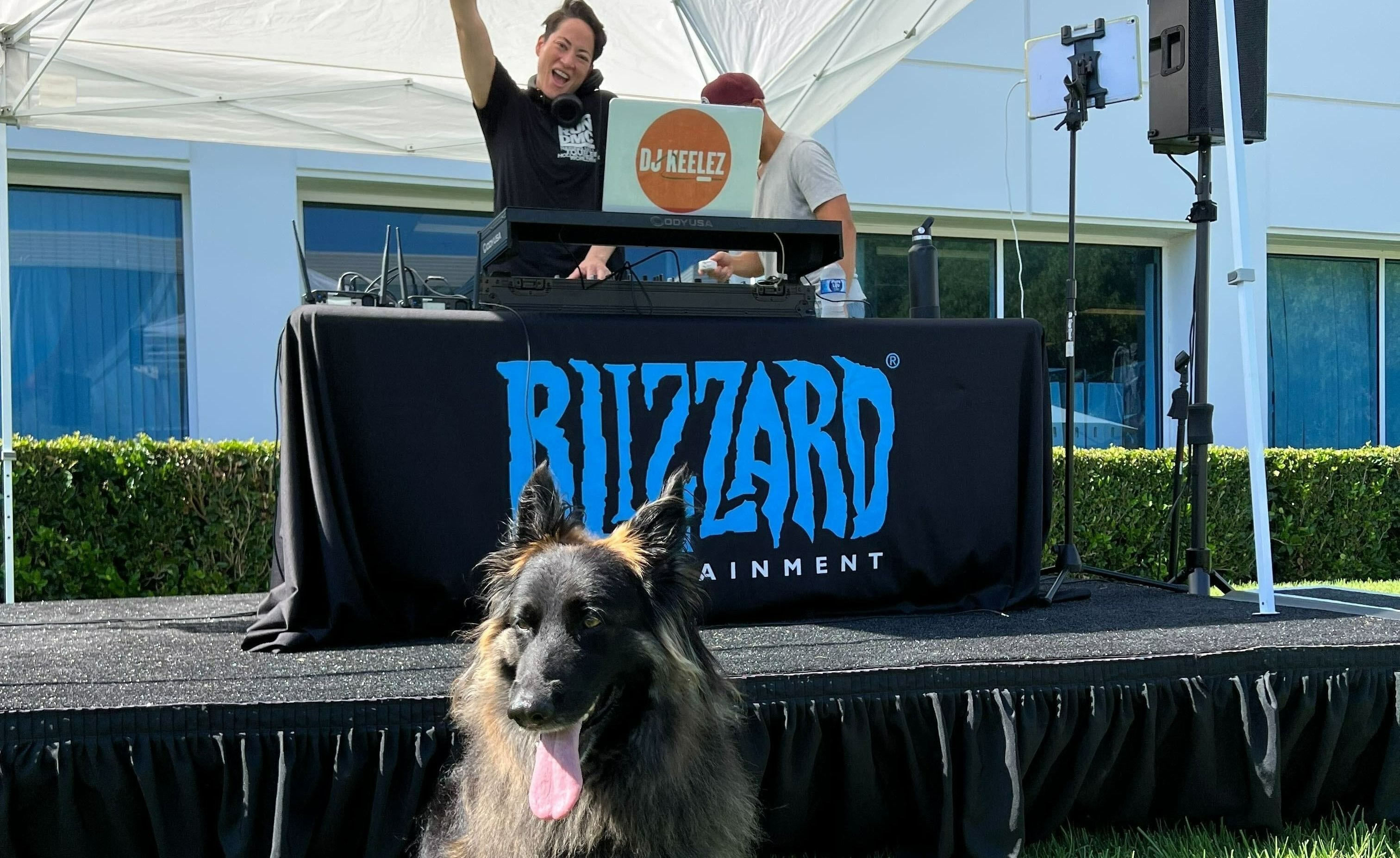 Собаки в офисе Blizzard в Ирвайне. Источник фото: твиттер LifeatBlizzard