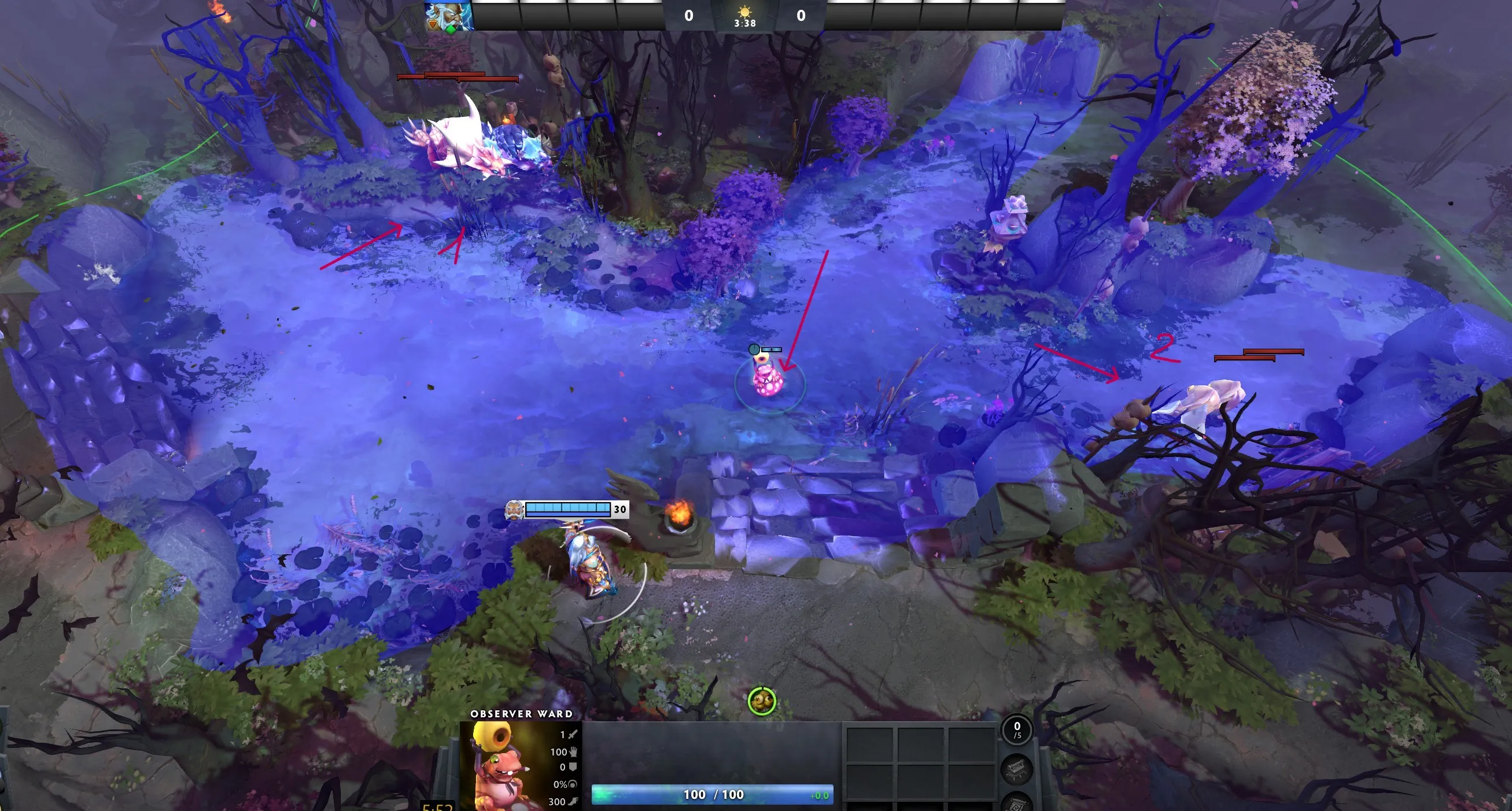 Один из любимых вардов, все про него почему-то забывают. Дает прекраснейший обзор на лес и возможность вкусного фрага  | Источник: Dota 2