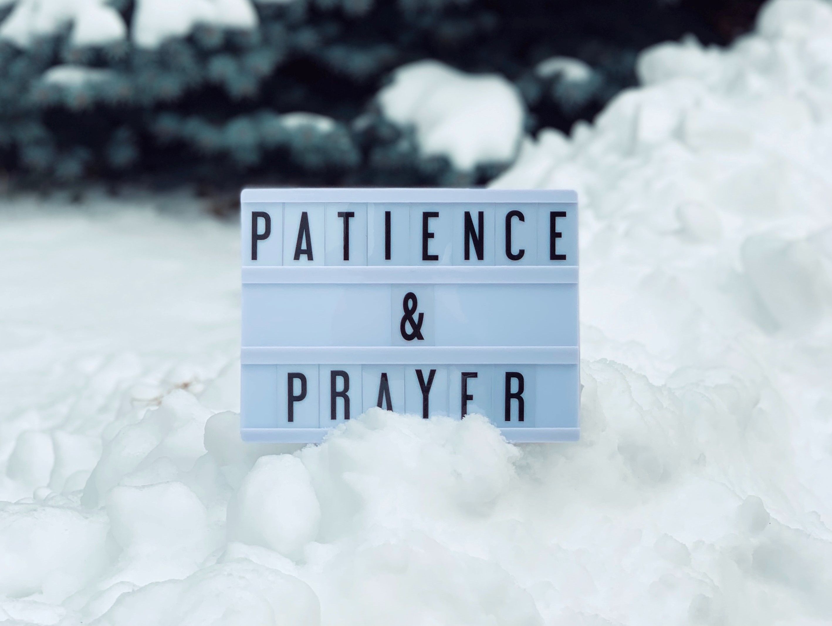 Фото взято из https://unsplash.com/