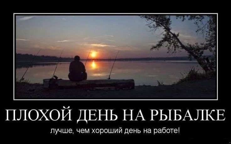 И помните:
