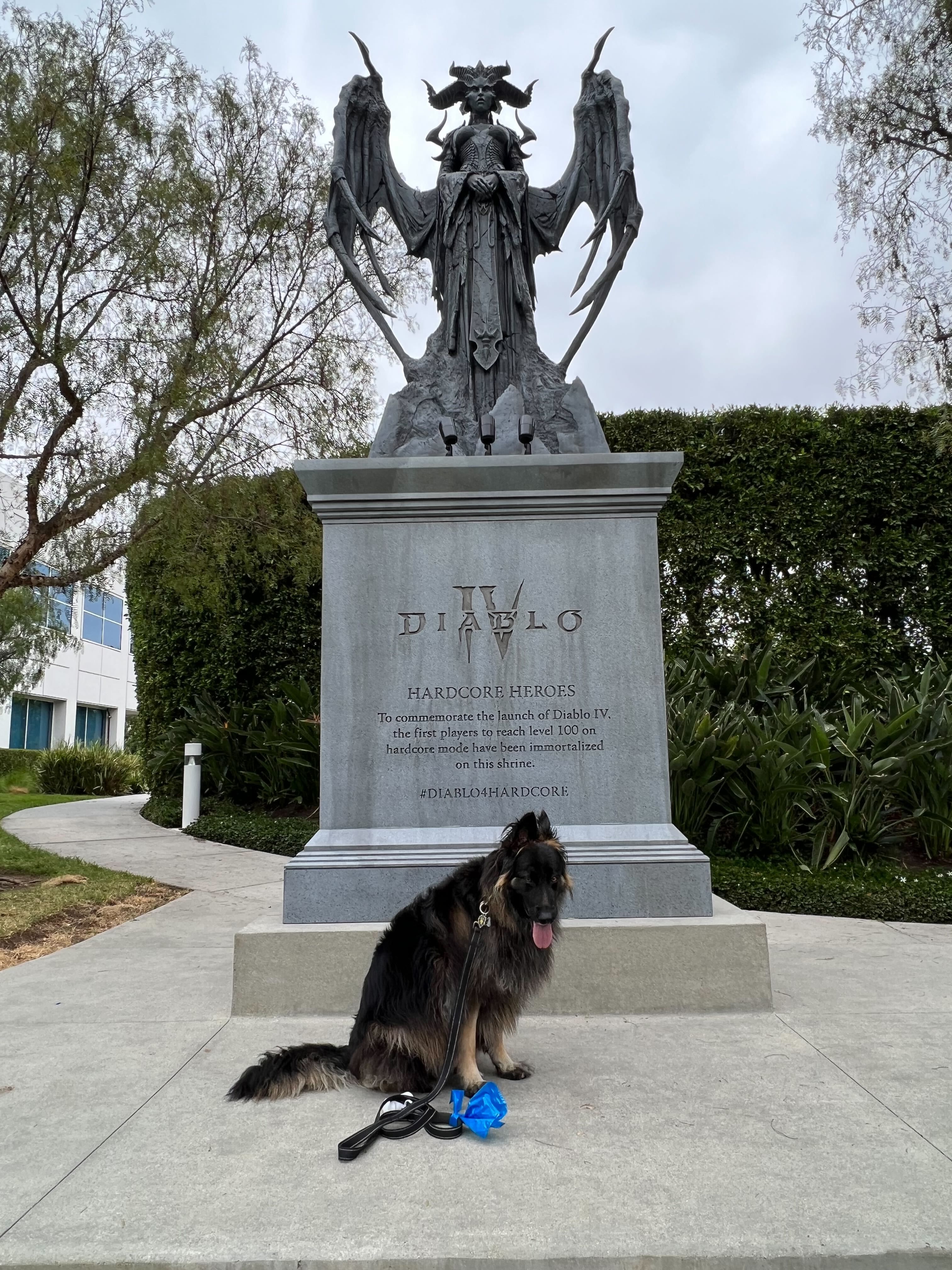 Собаки в офисе Blizzard в Ирвайне. Источник фото: твиттер LifeatBlizzard