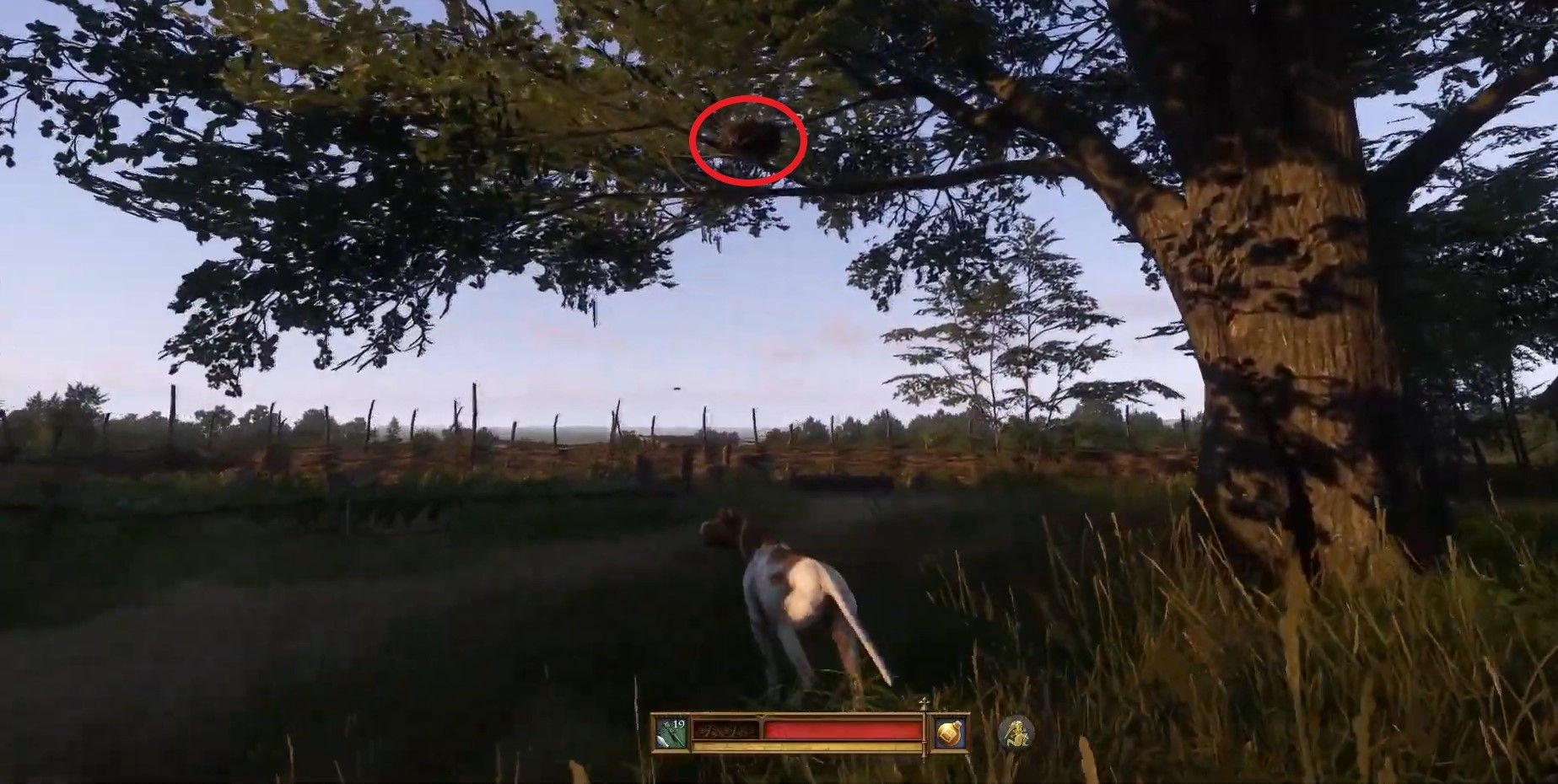 Скриншот из игры Kingdom Come: Deliverance II