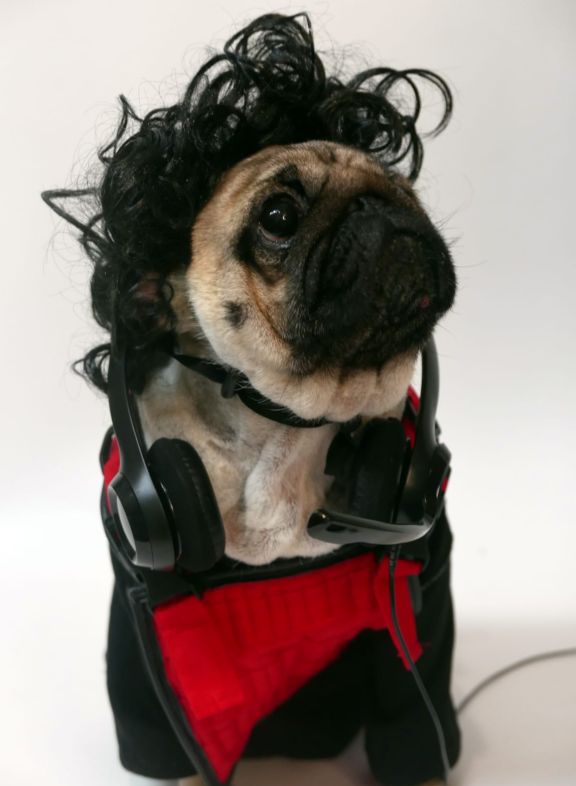 Источник: twitter @p4triciattv